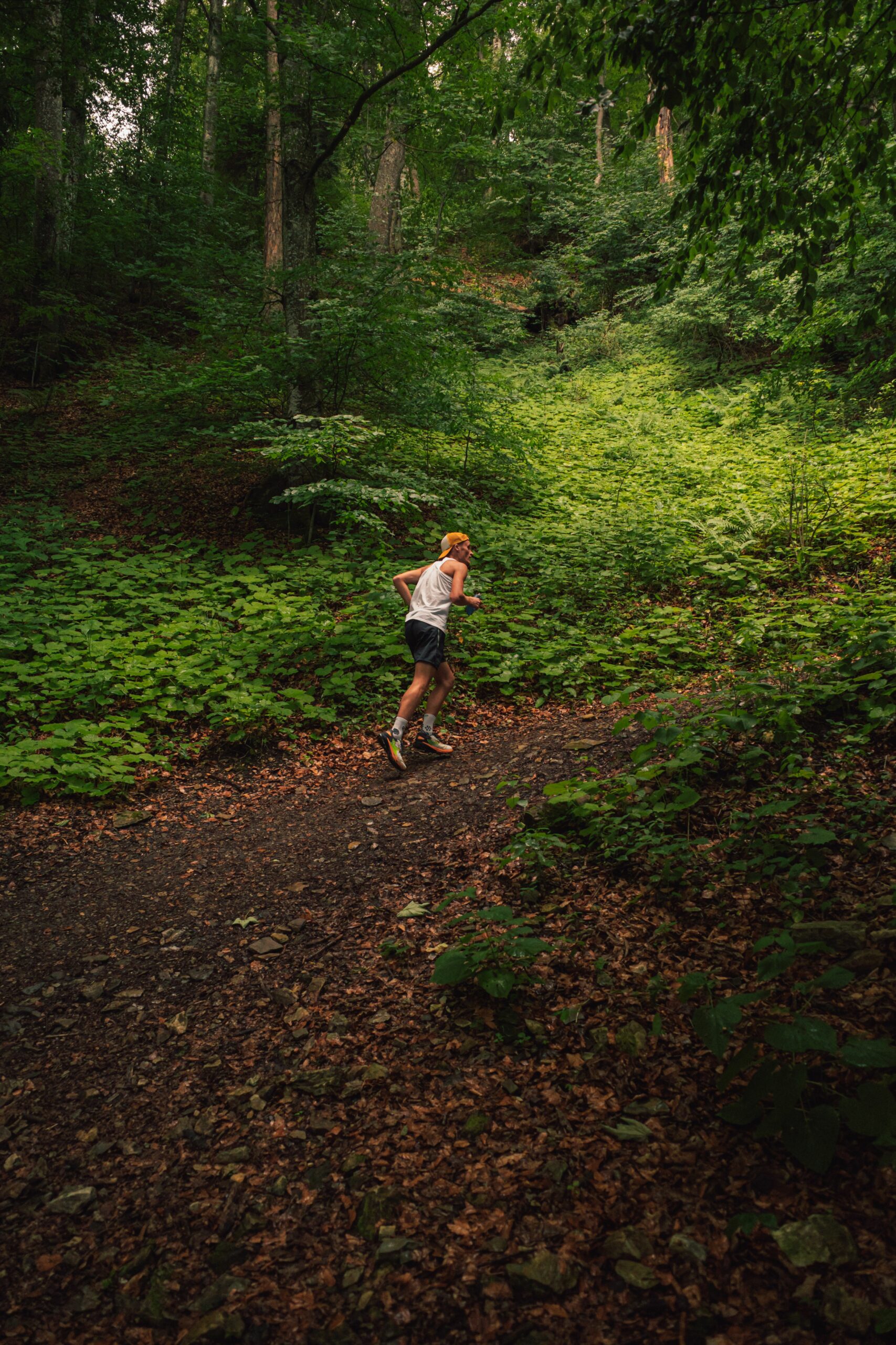 Pratique du trail en montagne