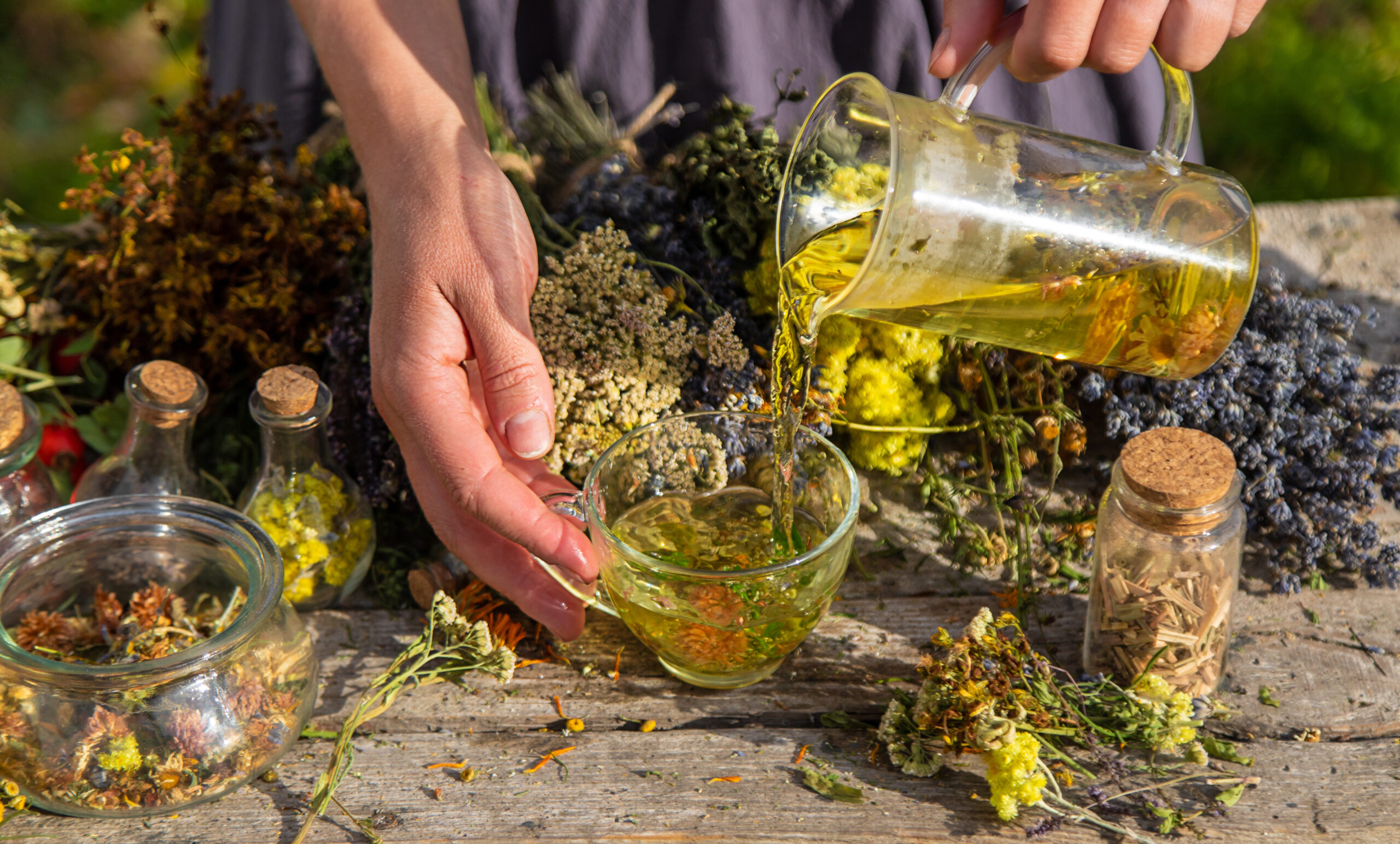 Infusion de plantes et récupération naturelle
