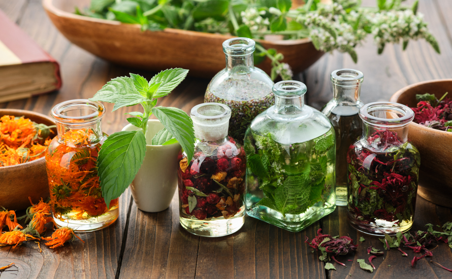 Atelier de préparation d’extraits de plantes