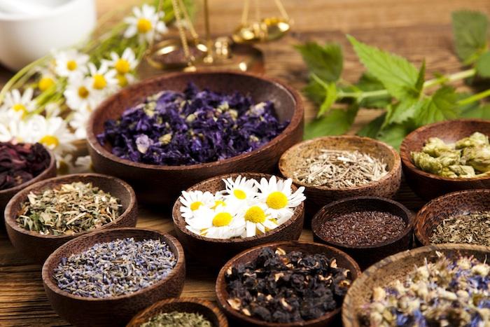 Accompagnement naturel par les plantes médicinales